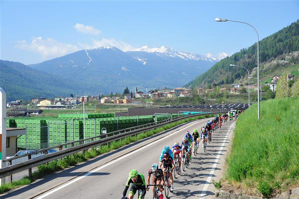 peloton panorama